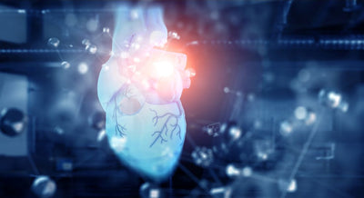 The Future of Research on Aging and the Heart