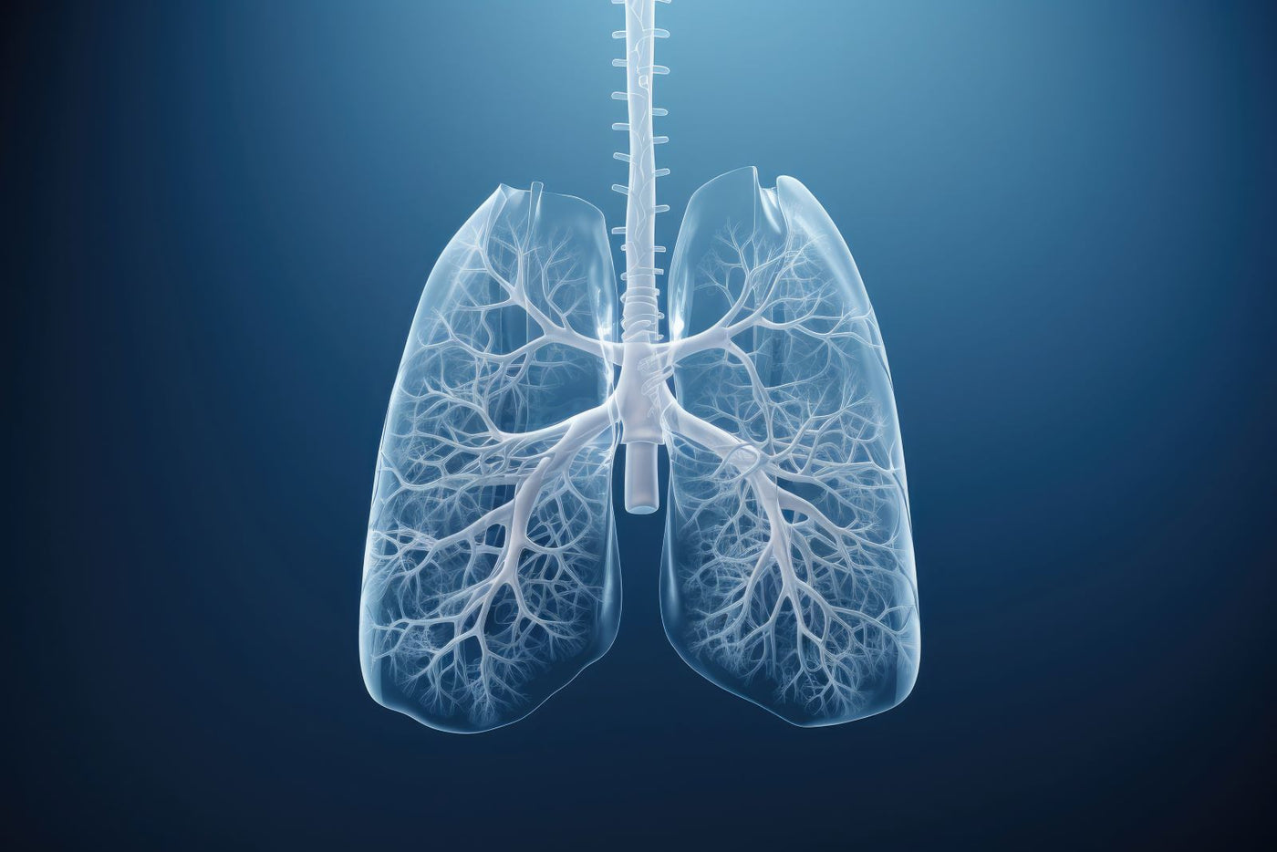 Top 7 Nutrients for Lung Health