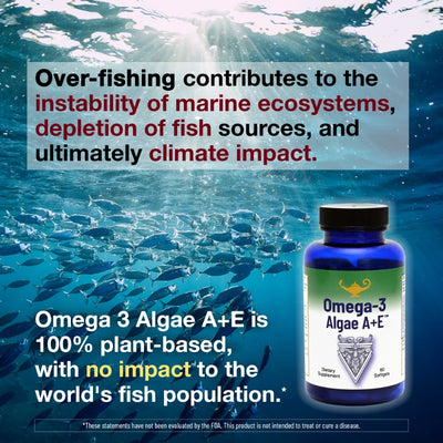 Sustainable Source of Omega-3 and Omega-6