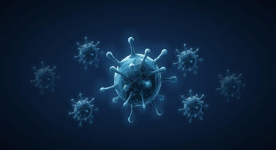 ¿Puede el ayuno mejorar el sistema inmunológico?