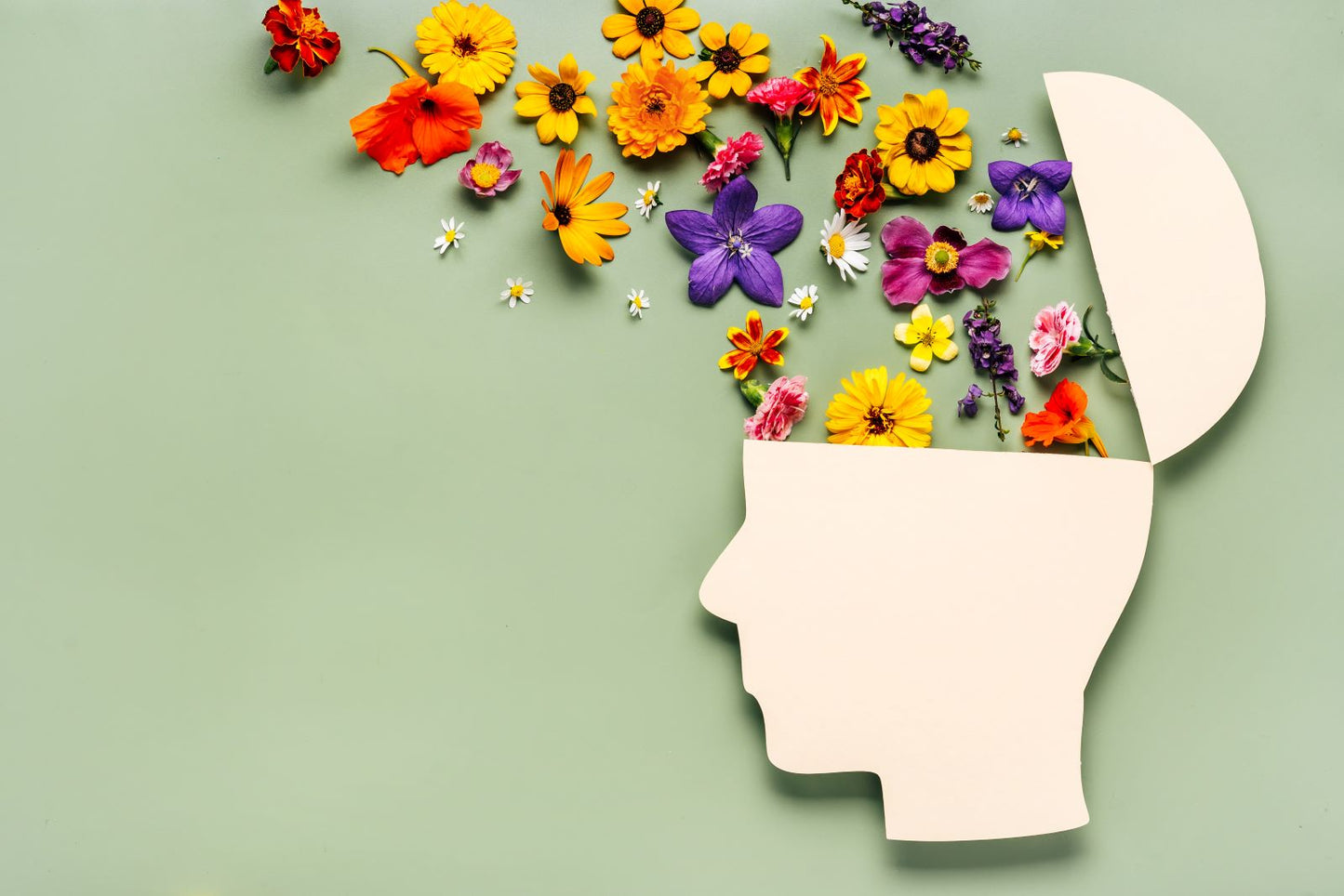 Paper cutout of a head in profile with colorful flowers spilling from the open top