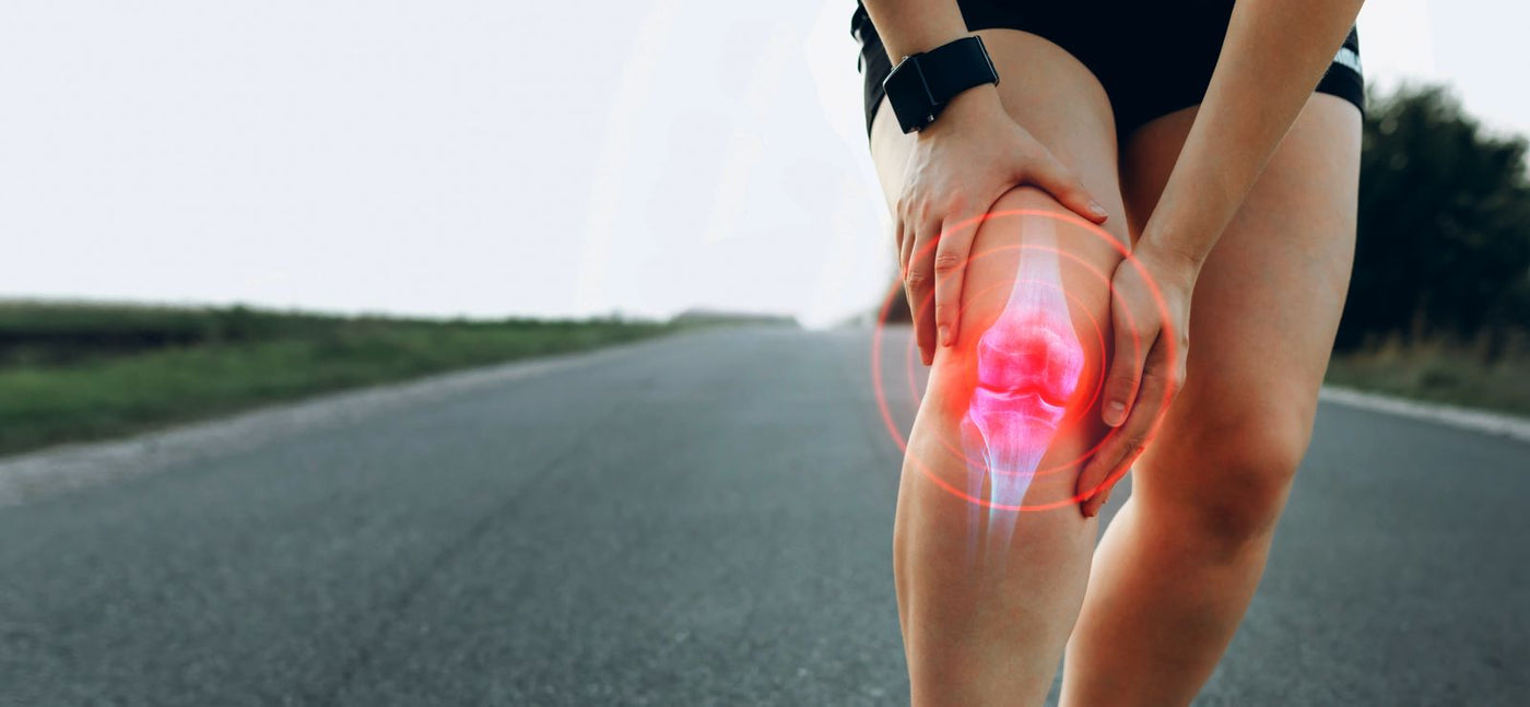 The Best Nutrients for Your Joint Health and Mobility