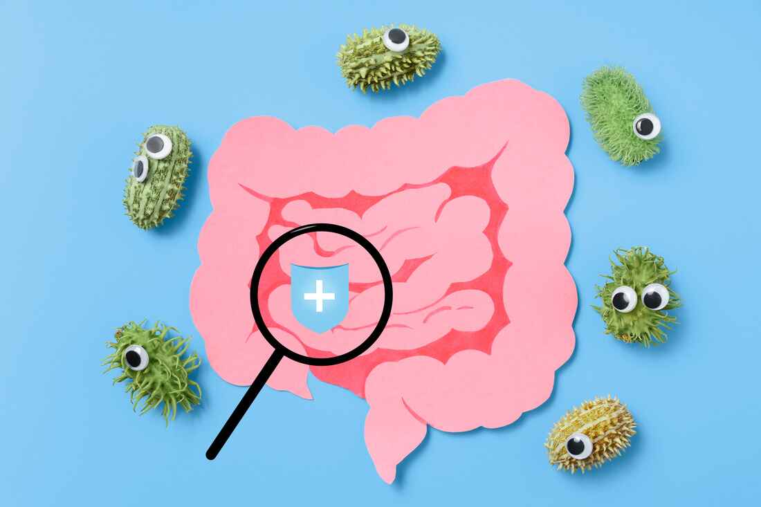 Paper illustration of the intestines with a protective shield and cartoon germs, representing probiotics and immune defense