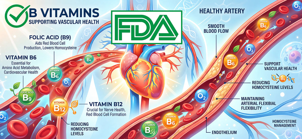 FDA Supports B Vitamin Qualified Health Claim for Vascular Health