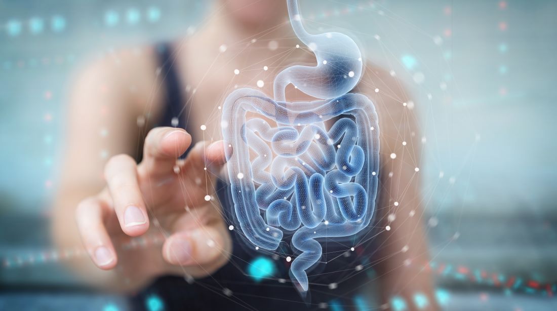 The Secret to More Energy? It's In Your Gut!