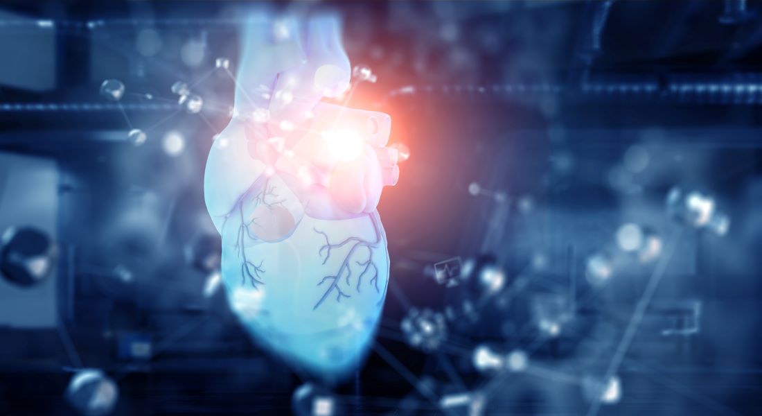 Glowing 3D anatomical heart on a dark blue tech background