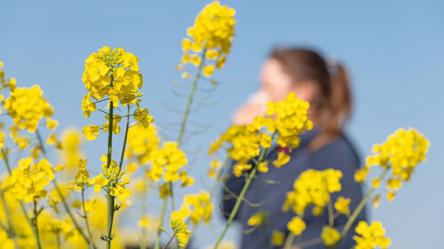 Person sneezing into a tissue among blooming yellow flowers, representing seasonal allergies