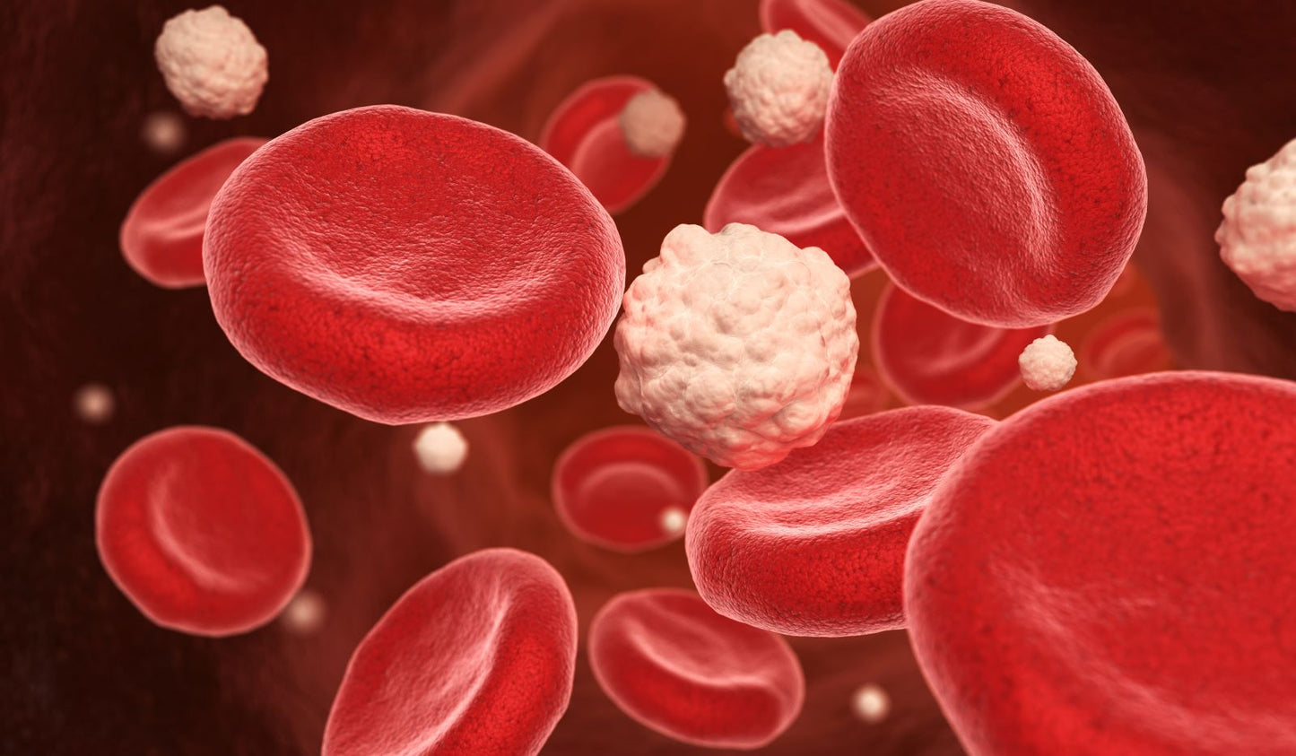 The Impact of Intermittent Fasting on Your Blood Sugar Balance