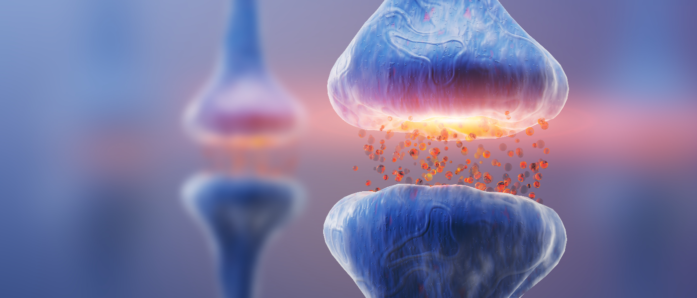 3D illustration of nerve cells transmitting signals across a synapse, representing magnesium's role in nerve health