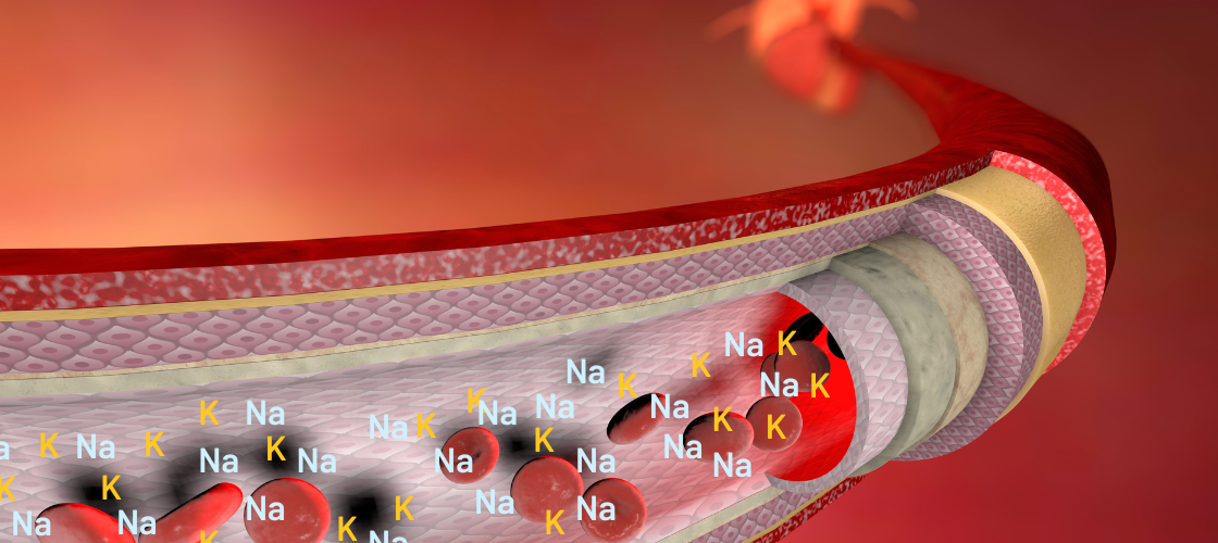 3D illustration of a blood vessel with sodium and potassium ions and red blood cells, showing the balance for heart health