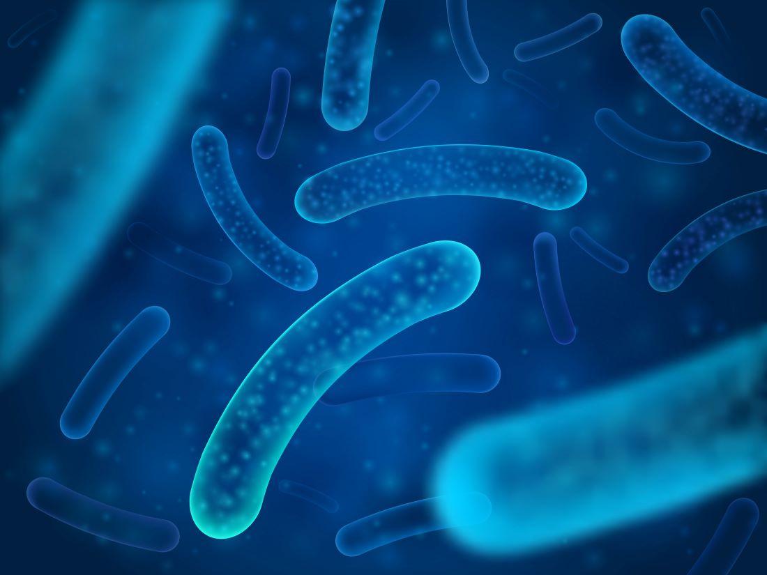 A Closer Look at Probiotics and Prebiotics: What's the Difference?