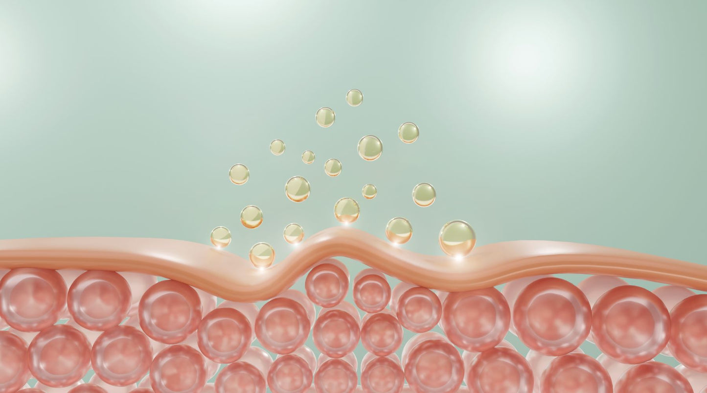 6 Key Nutrients to Boost Your Collagen Production