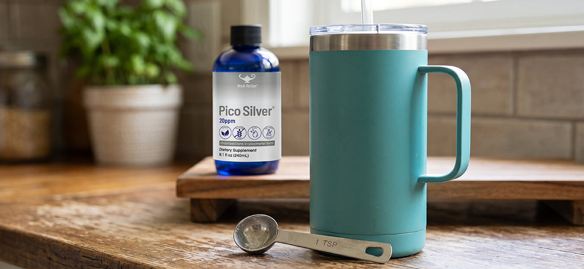 Silver + Your Immune Function