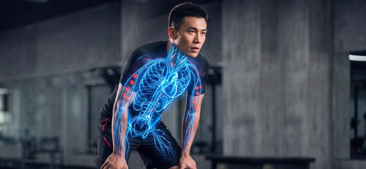 6 Essential Nutrients for Strong Vascular Health
