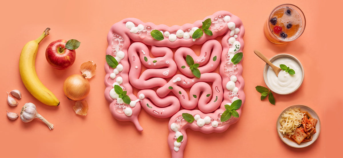 A Closer Look at Probiotics and Prebiotics: What's the Difference?