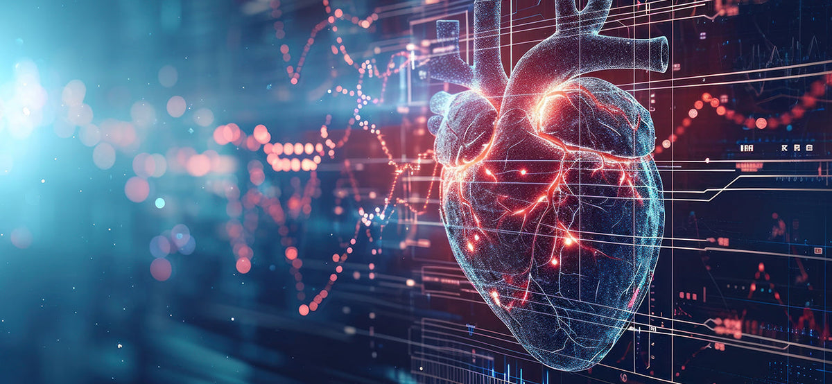 The Future of Research on Aging and the Heart