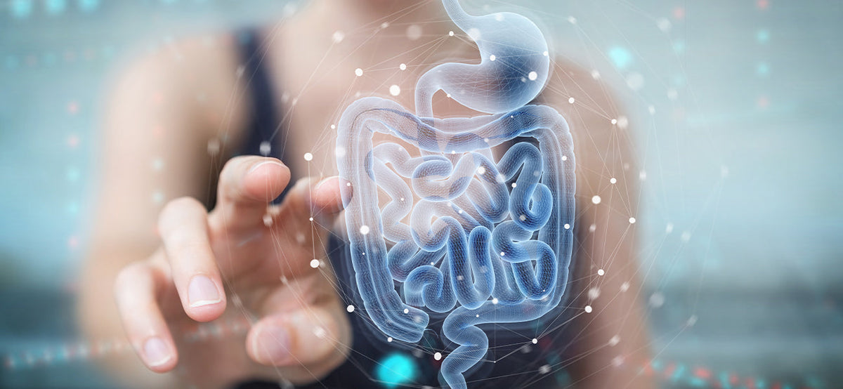 The Secret to More Energy? It's In Your Gut!