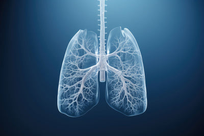 Top 7 Nutrients for Lung Health
