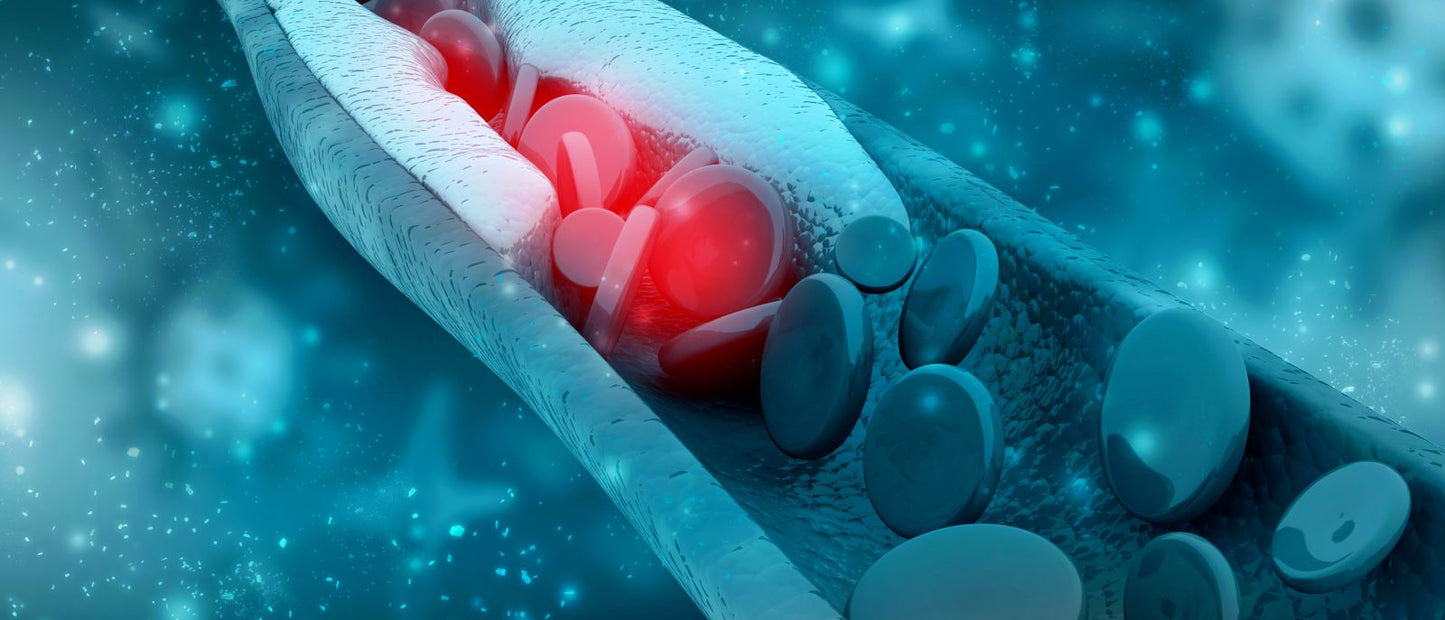 Understanding Cholesterol and Fat: What You Need to Know