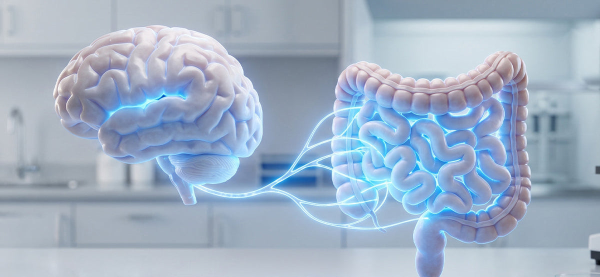 Feed Your Gut, Fuel Your Brain
