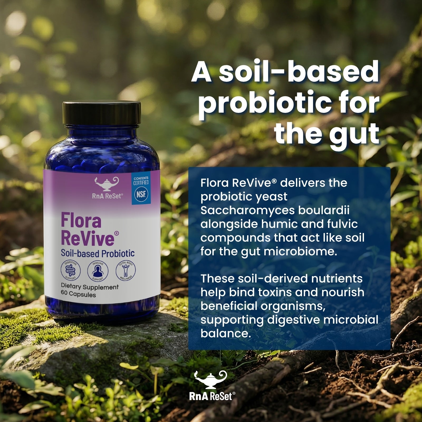 Flora ReVive® | Soil-Based Probiotic Formula | RnA ReSet