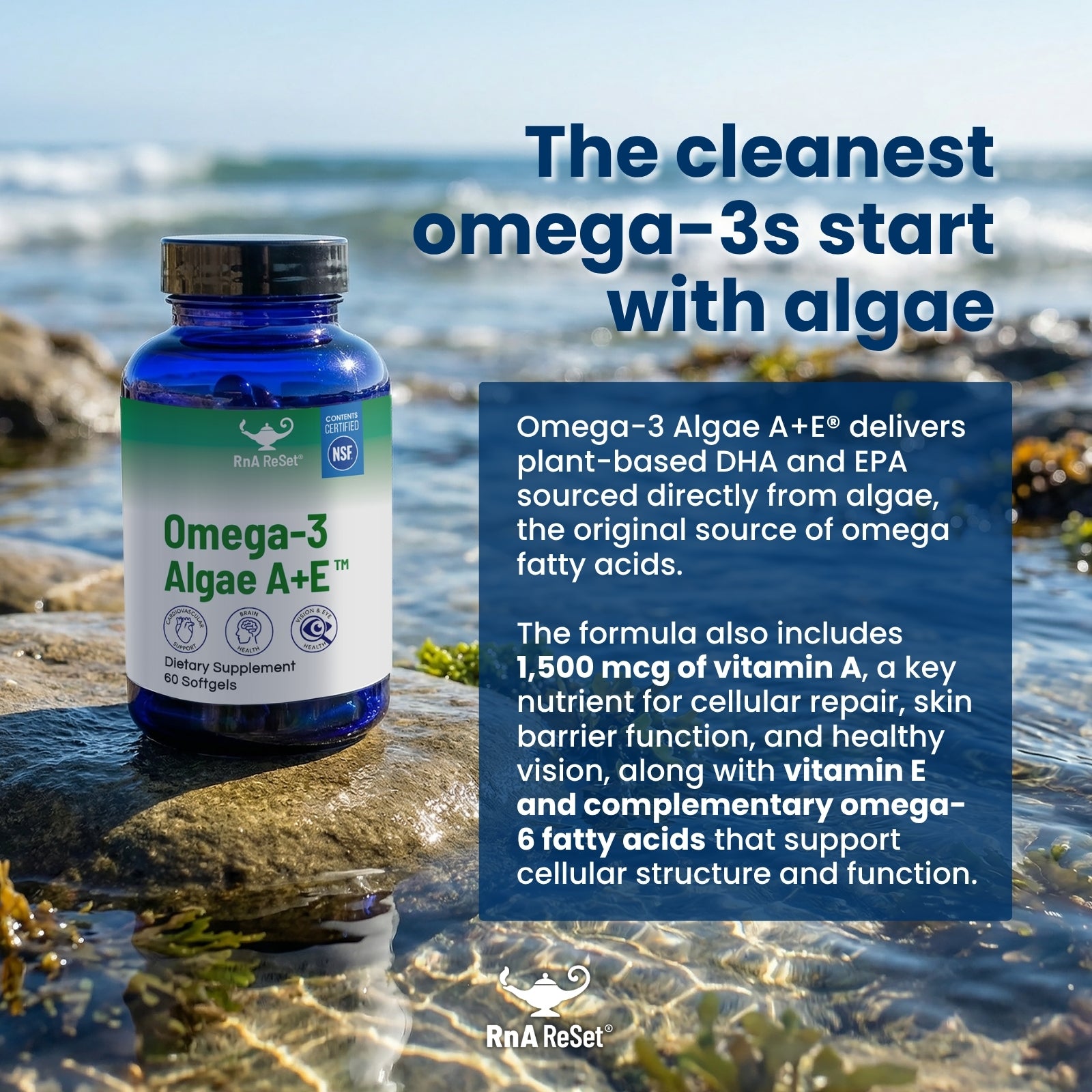 ANNY DHA&EPA Omega-3 Algae A+E® | Plant-Based DHA & EPA Formula | RnA ReSet