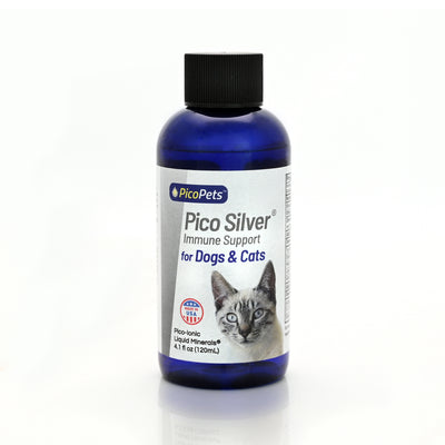 Pico Silver by PicoPets