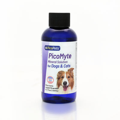 PicoMyte by PicoPets