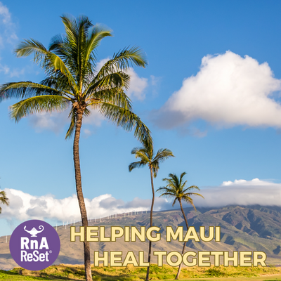 Commemorative Bracelet For Maui Fire Relief