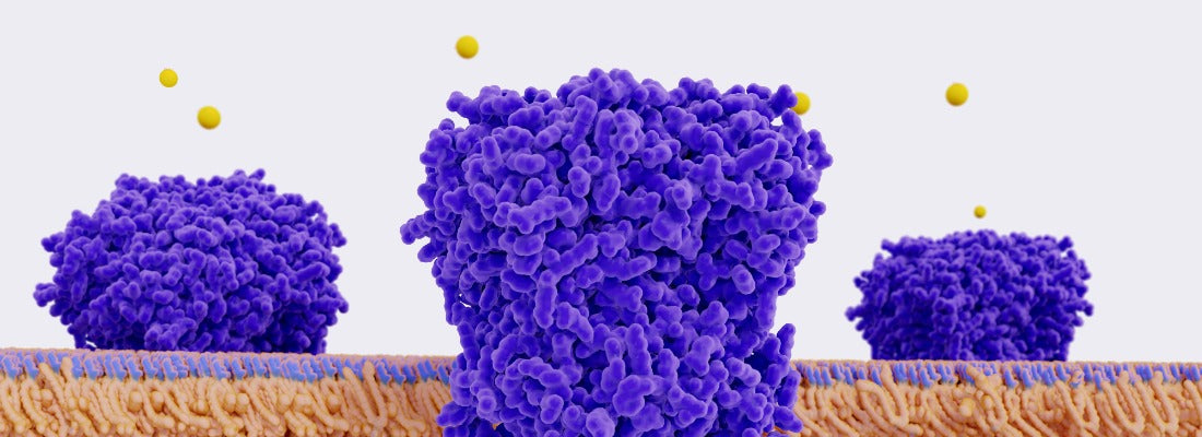 Clinical Proof of Picometer Size – RnA ReSet
