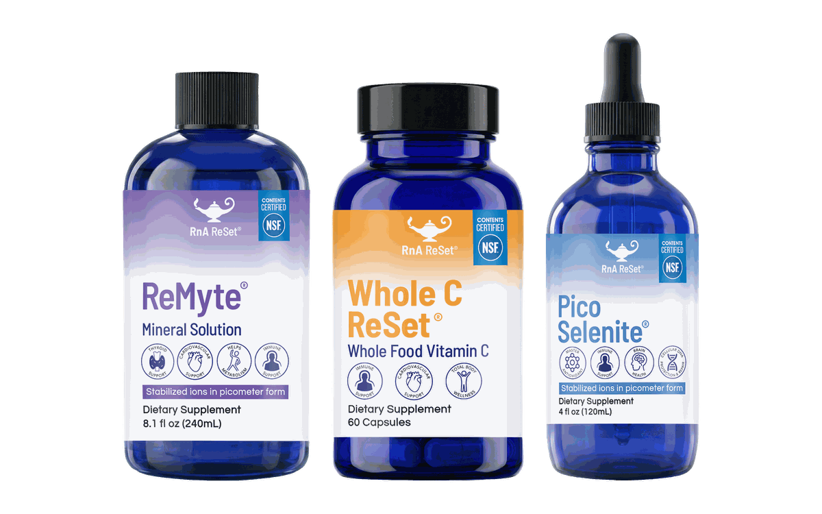 Inner Rhythm ReSet Trio